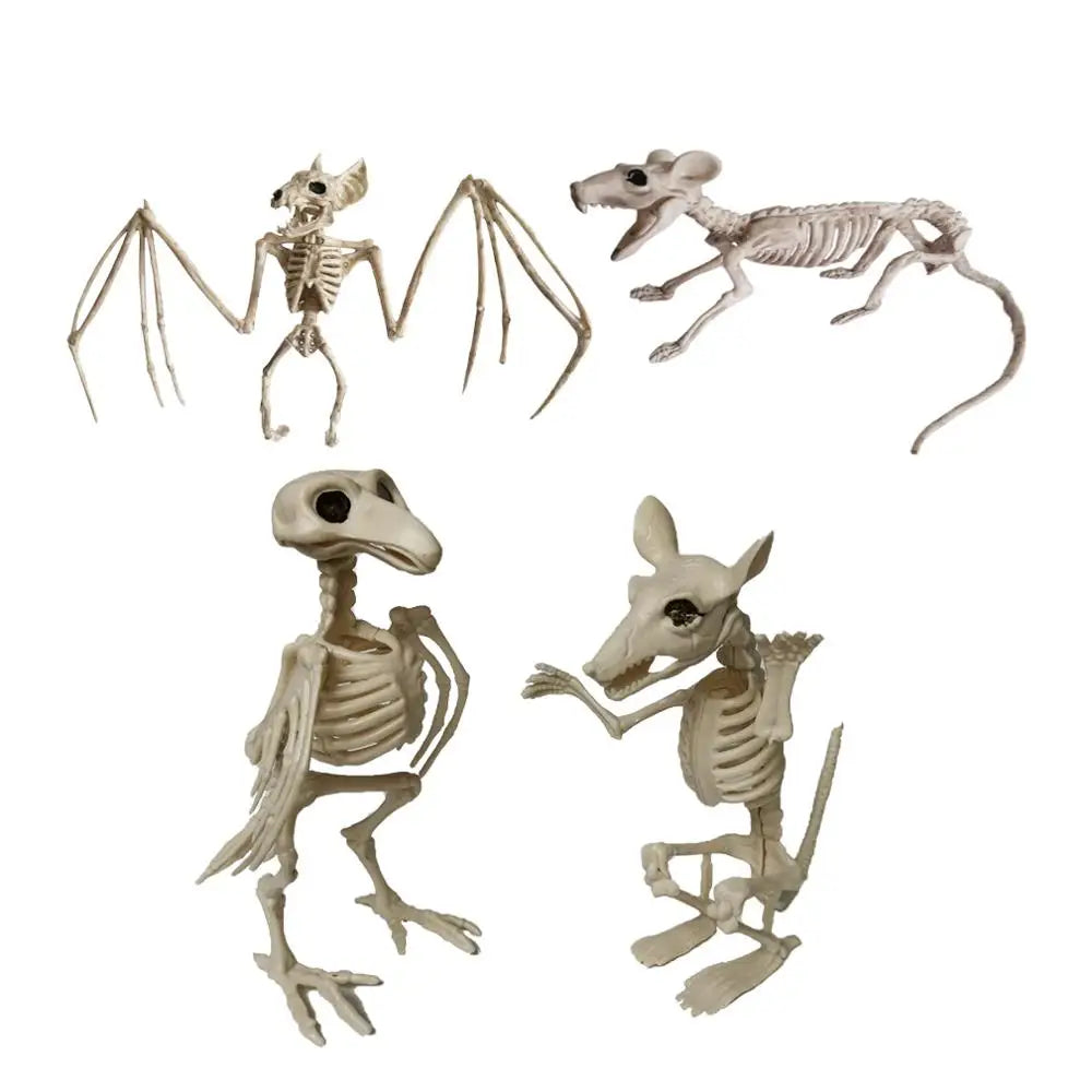 Animal Skeleton Bones