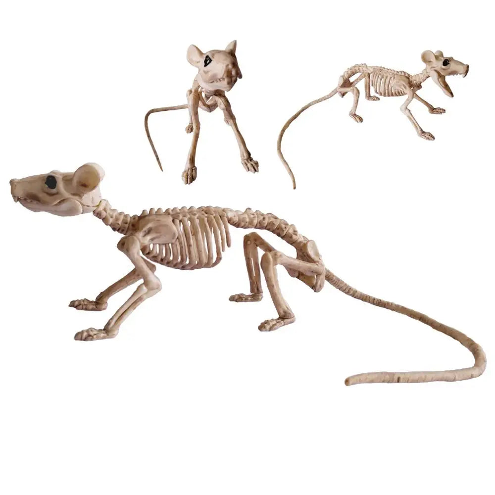 Animal Skeleton Bones