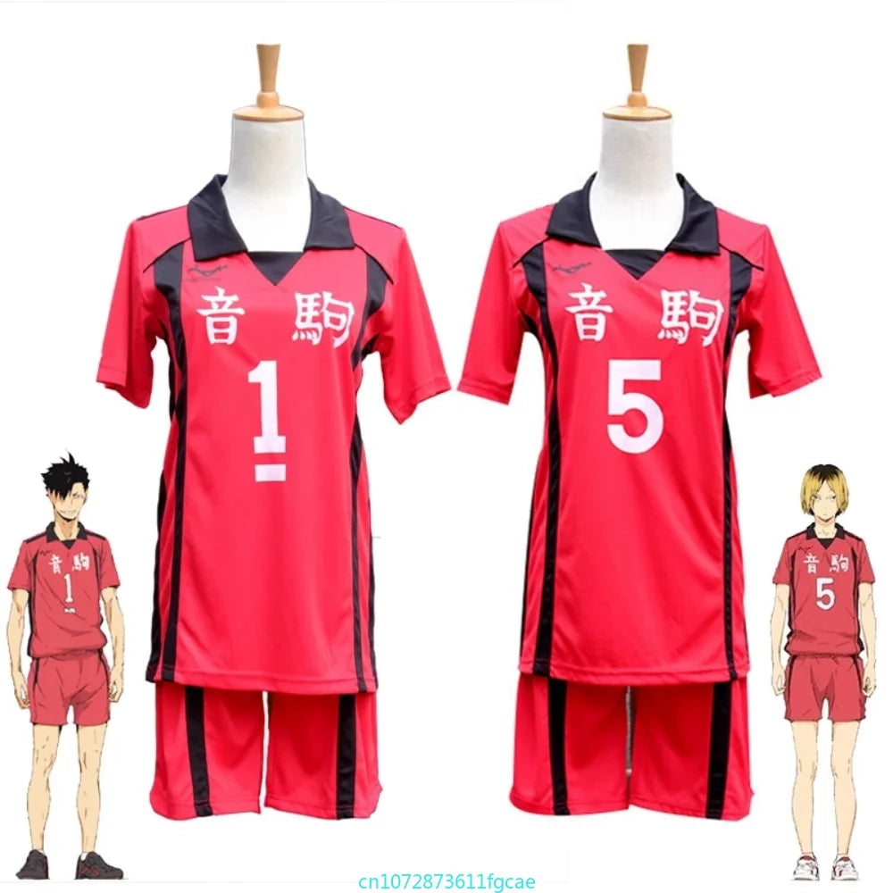 Haikyuu Karasuno High School